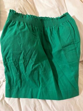 J. Crew Green Elastic-Waist Paper Skirt
